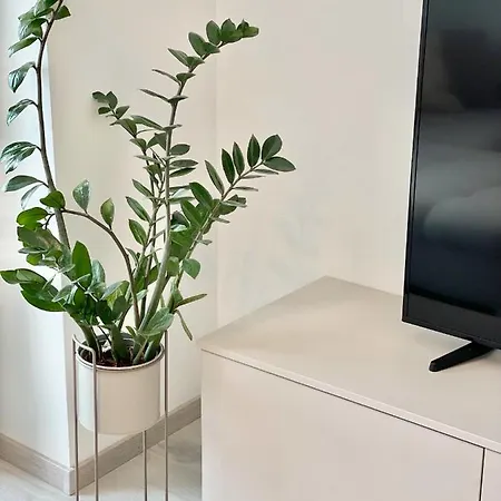 Apartment Cashmere Premium *
